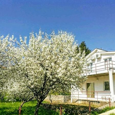 Apartments Pasha Blagaj Eksteriør billede