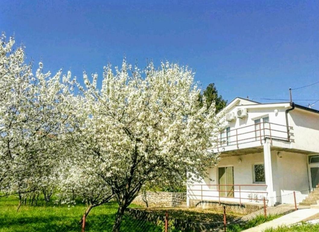 Apartments Pasha Blagaj Eksteriør billede